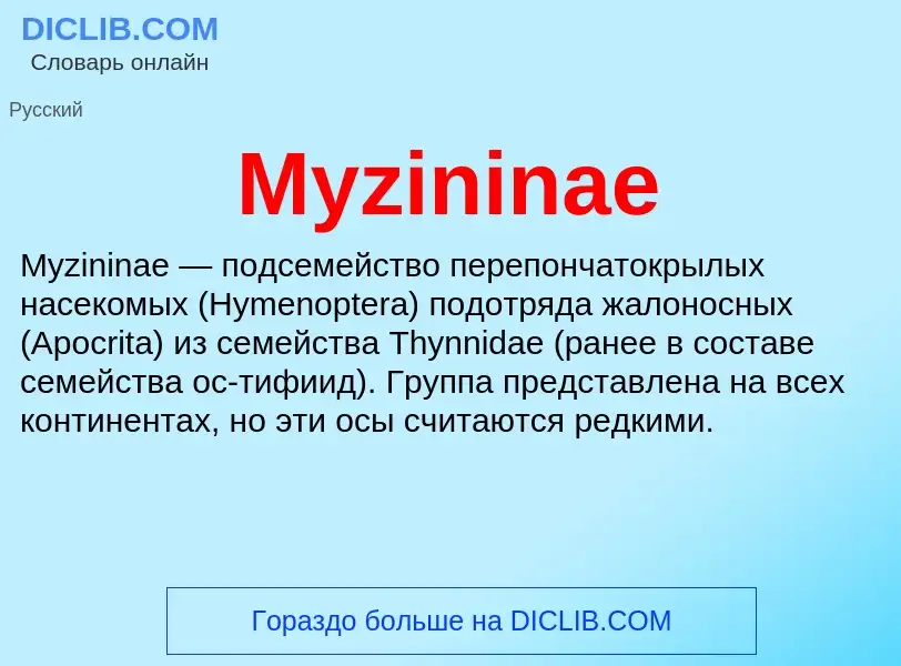 ¿Qué es Myzininae? - significado y definición