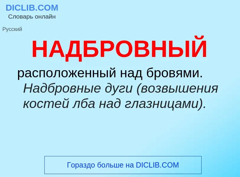 Wat is НАДБРОВНЫЙ - definition