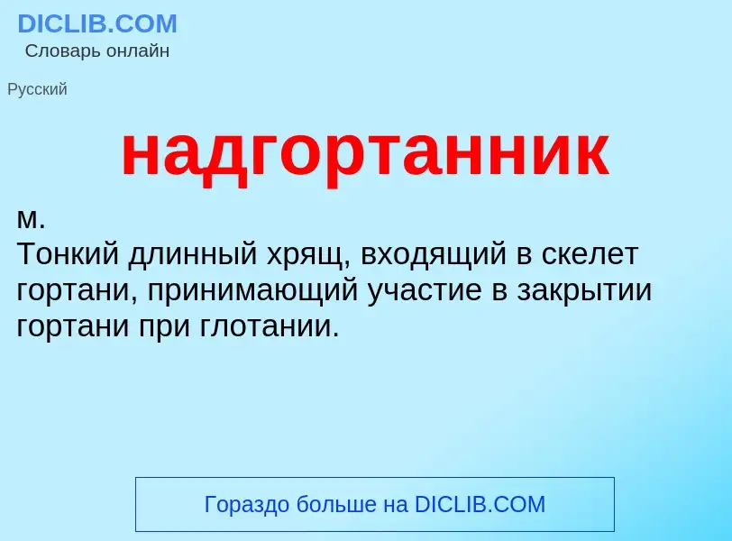 Wat is надгортанник - definition