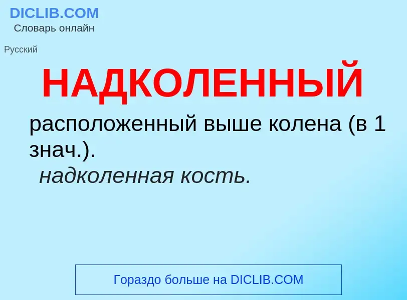 Wat is НАДКОЛЕННЫЙ - definition