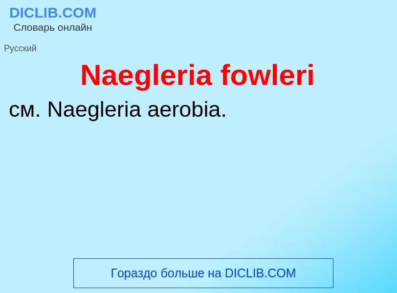 Что такое Naegleria fowleri - определение