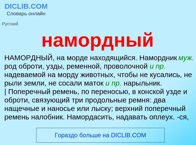 O que é намордный - definição, significado, conceito