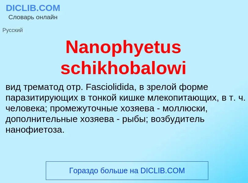 What is Nanophyetus schikhobalowi - meaning and definition