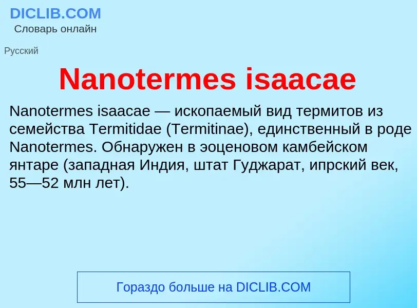 What is Nanotermes isaacae - meaning and definition