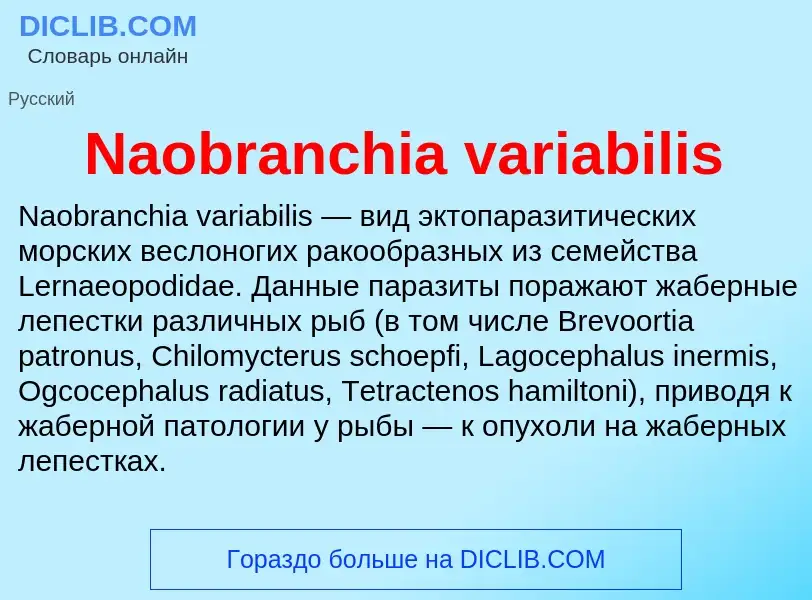 Что такое Naobranchia variabilis - определение