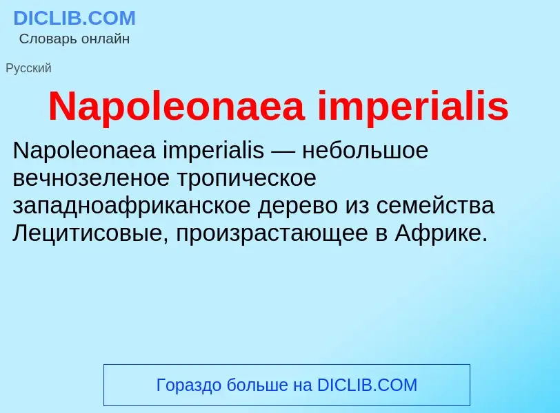 Что такое Napoleonaea imperialis - определение