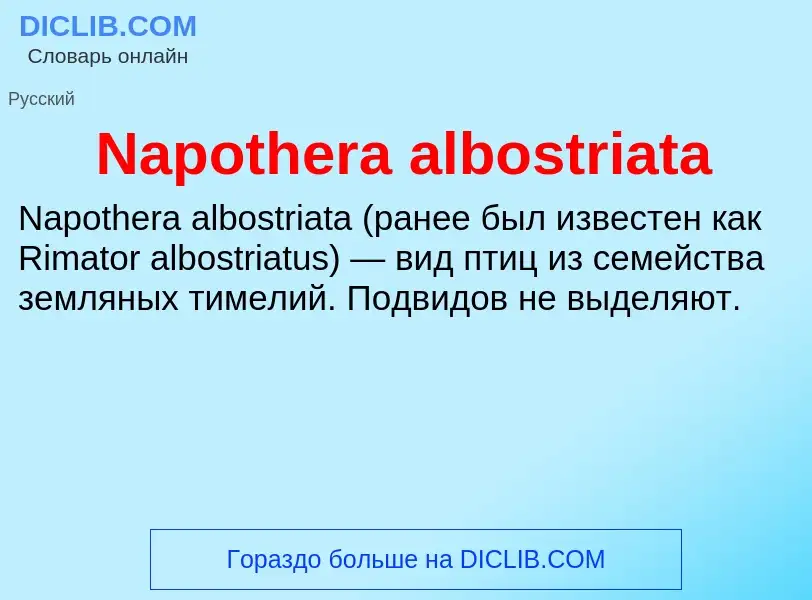 Что такое Napothera albostriata - определение