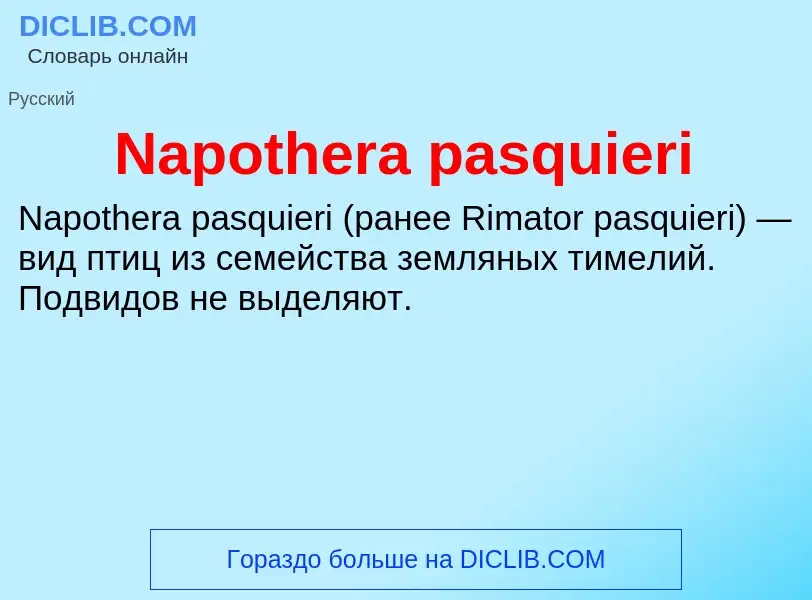 Что такое Napothera pasquieri - определение