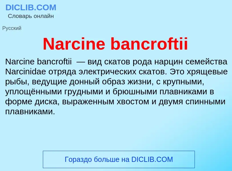 Что такое Narcine bancroftii - определение