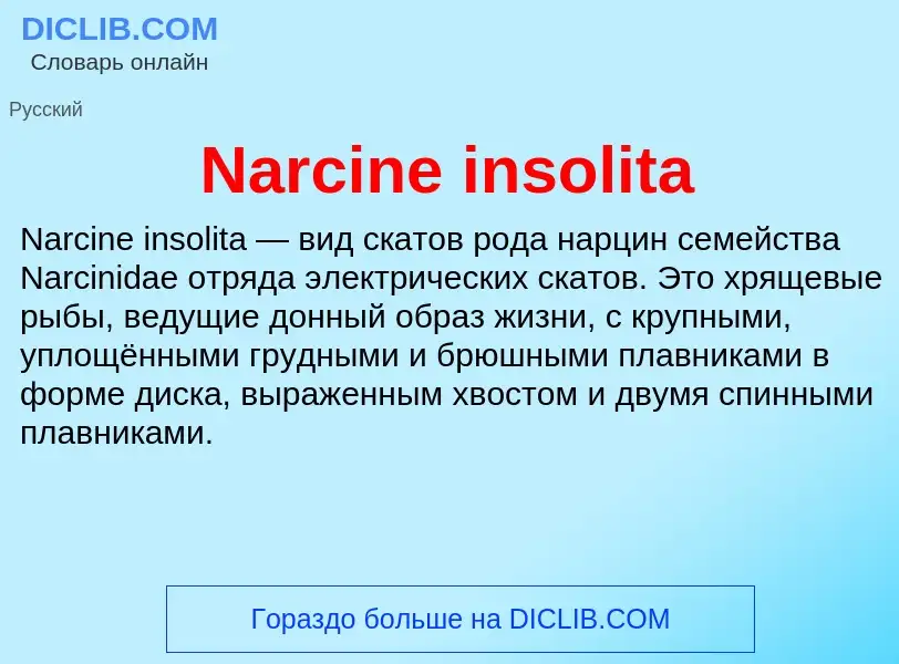 Что такое Narcine insolita - определение