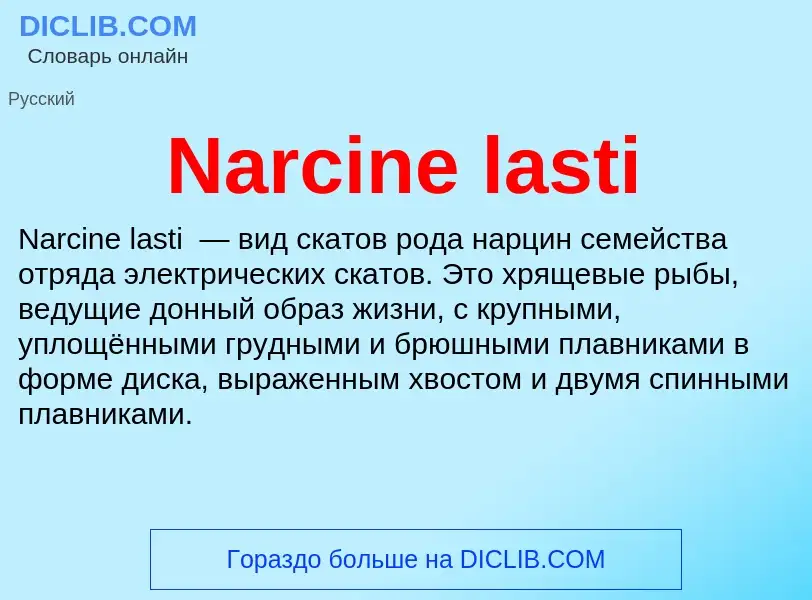 Что такое Narcine lasti - определение