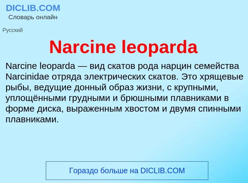 Что такое Narcine leoparda - определение