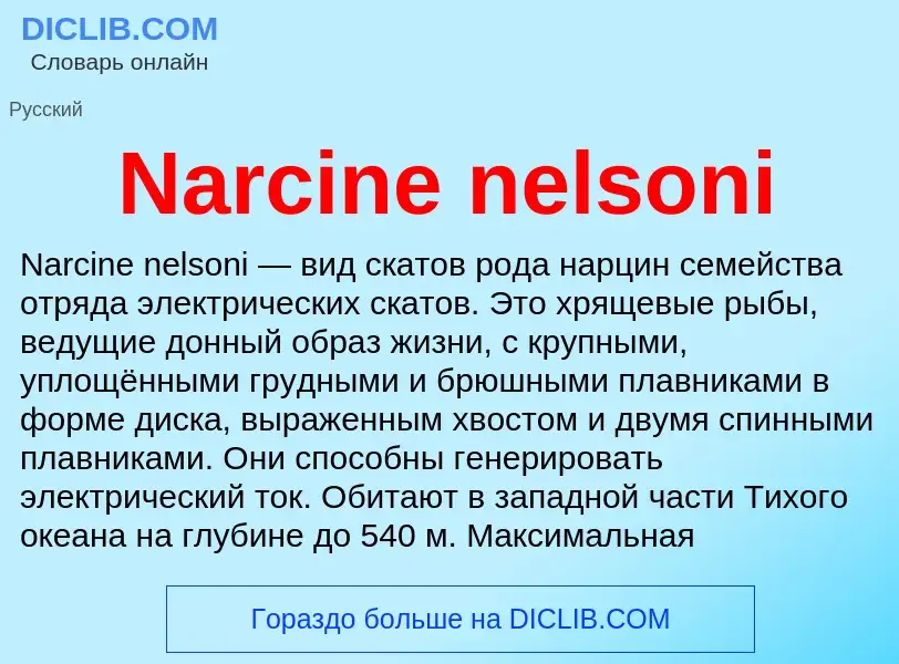 Что такое Narcine nelsoni - определение