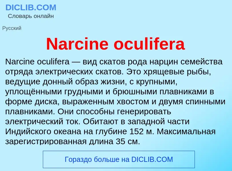 Что такое Narcine oculifera - определение