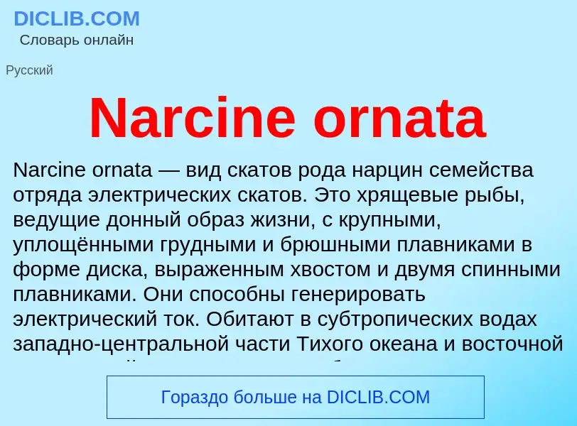 Что такое Narcine ornata - определение