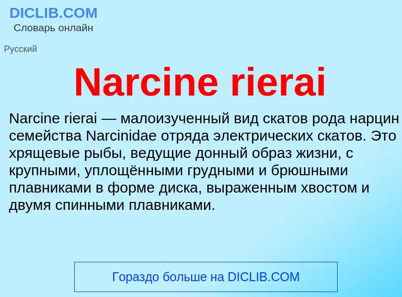 Что такое Narcine rierai - определение