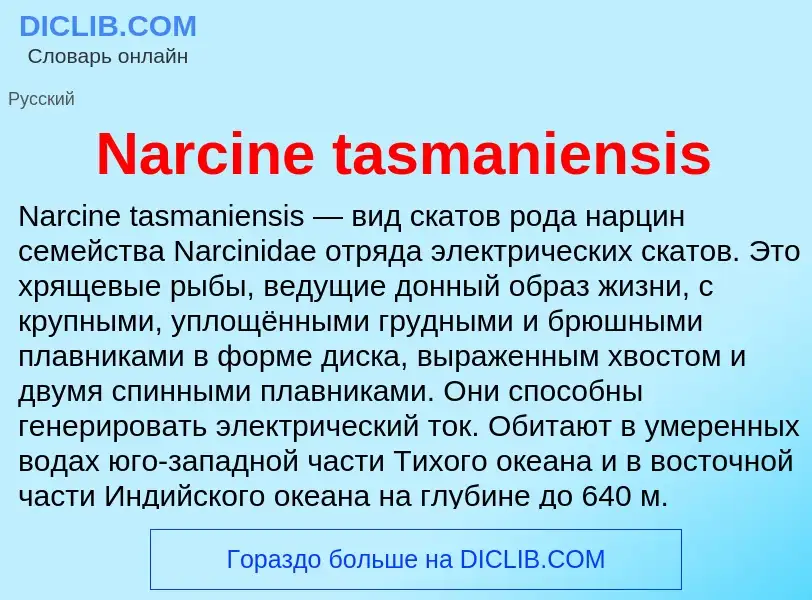 Что такое Narcine tasmaniensis - определение