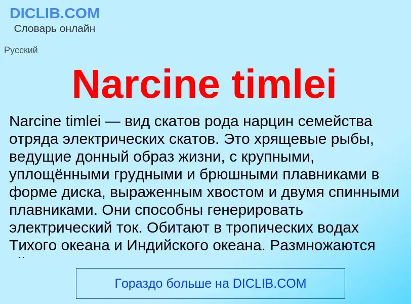 Что такое Narcine timlei - определение