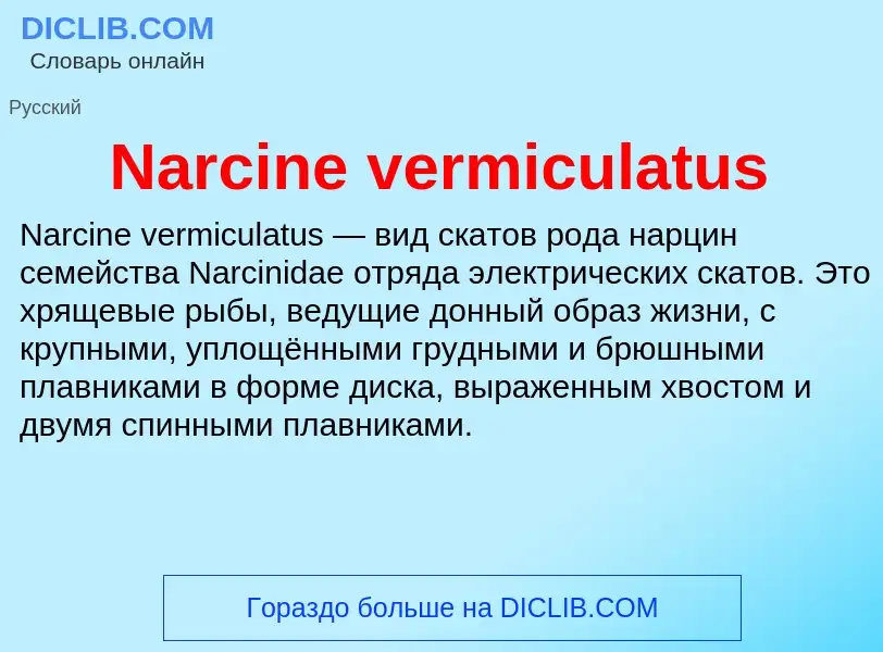 Что такое Narcine vermiculatus - определение