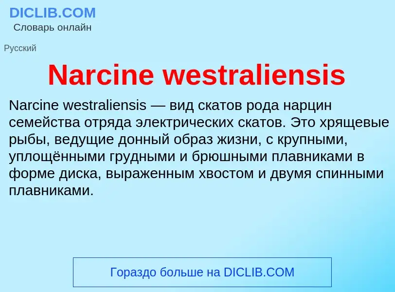 Что такое Narcine westraliensis - определение