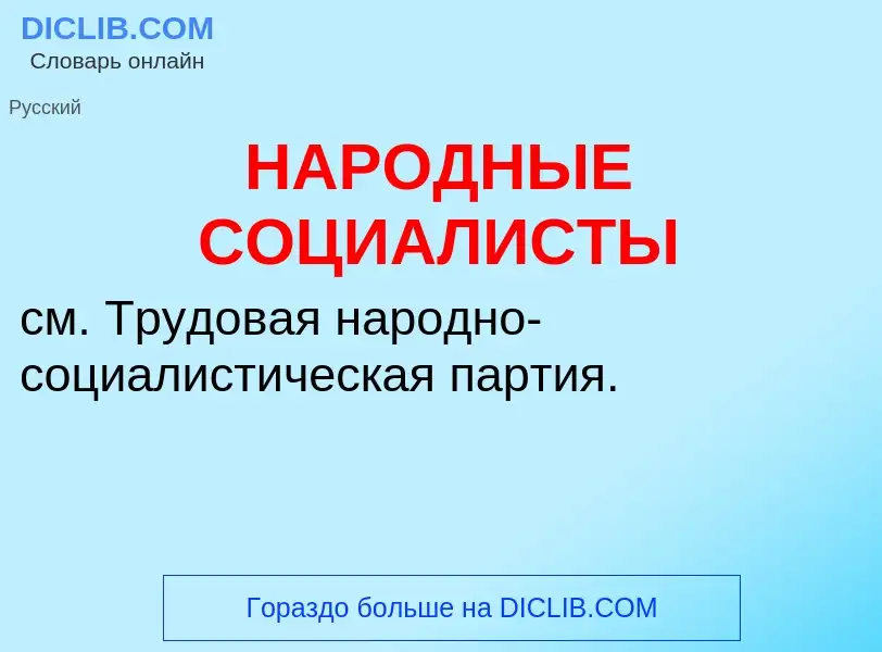 Was ist НАРОДНЫЕ СОЦИАЛИСТЫ - Definition