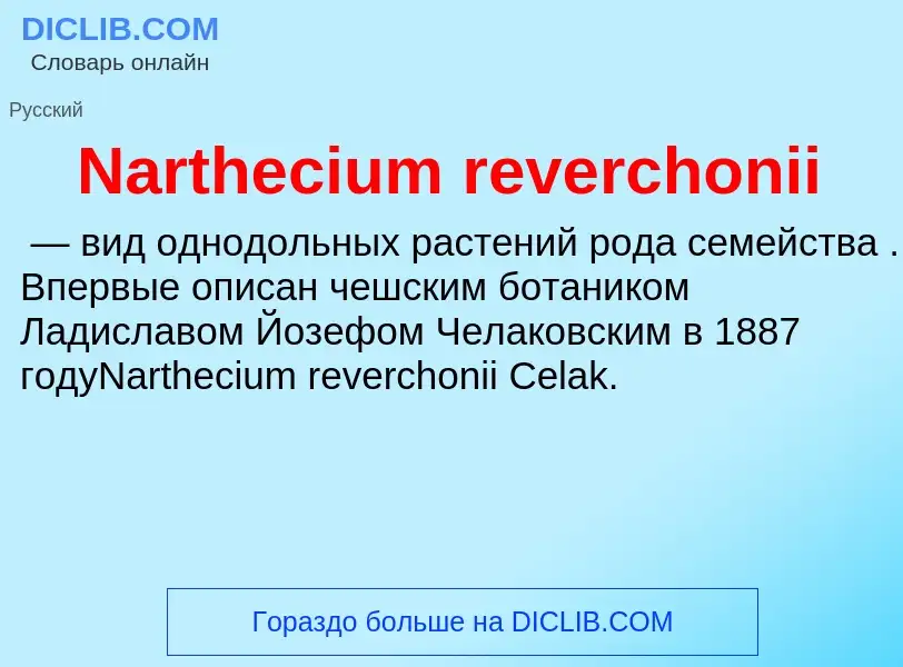 Что такое Narthecium reverchonii - определение