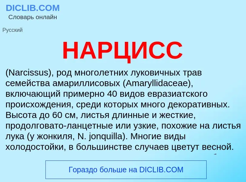 O que é НАРЦИСС - definição, significado, conceito