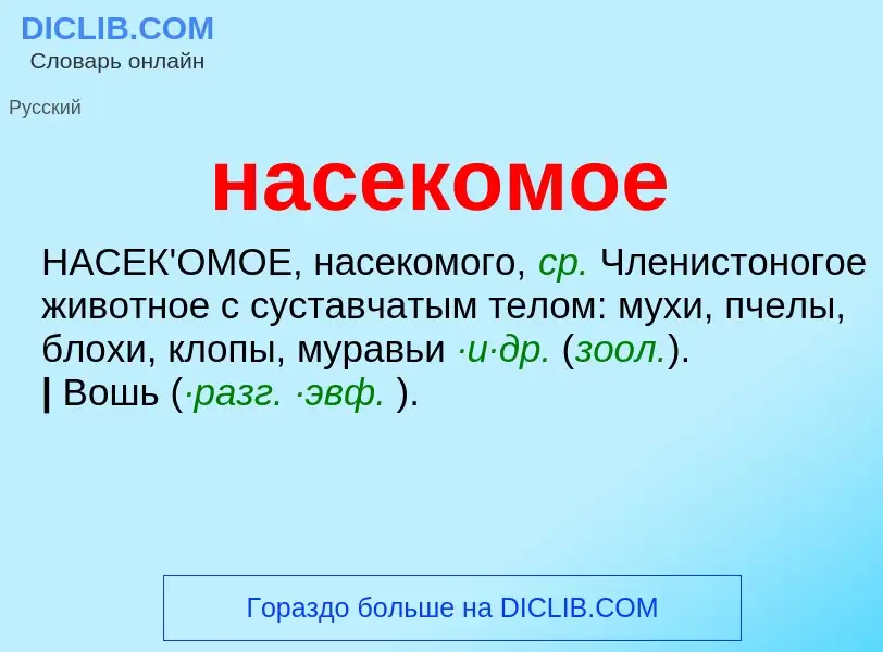 ¿Qué es насекомое? - significado y definición