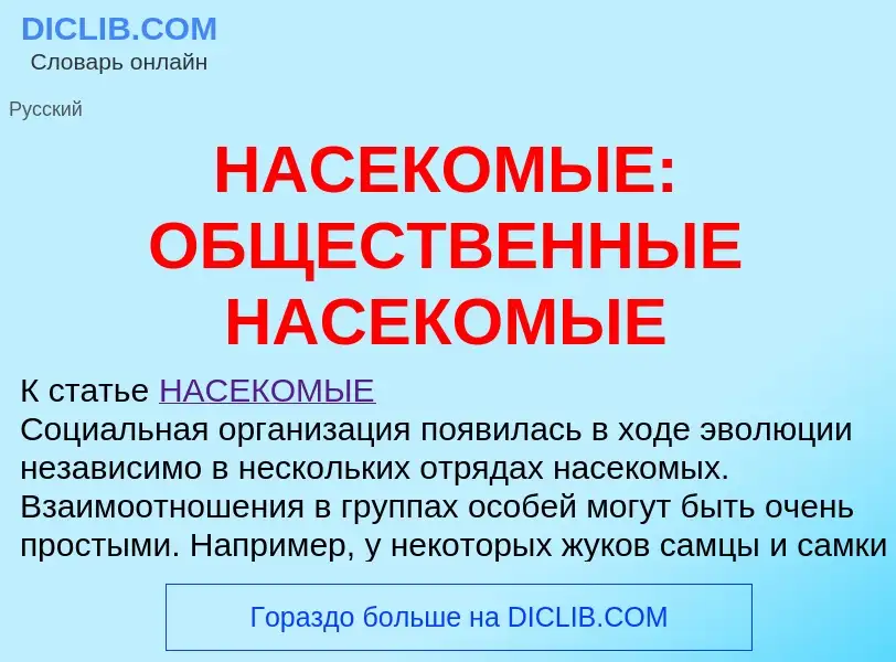 Che cos'è НАСЕКОМЫЕ: ОБЩЕСТВЕННЫЕ НАСЕКОМЫЕ - definizione