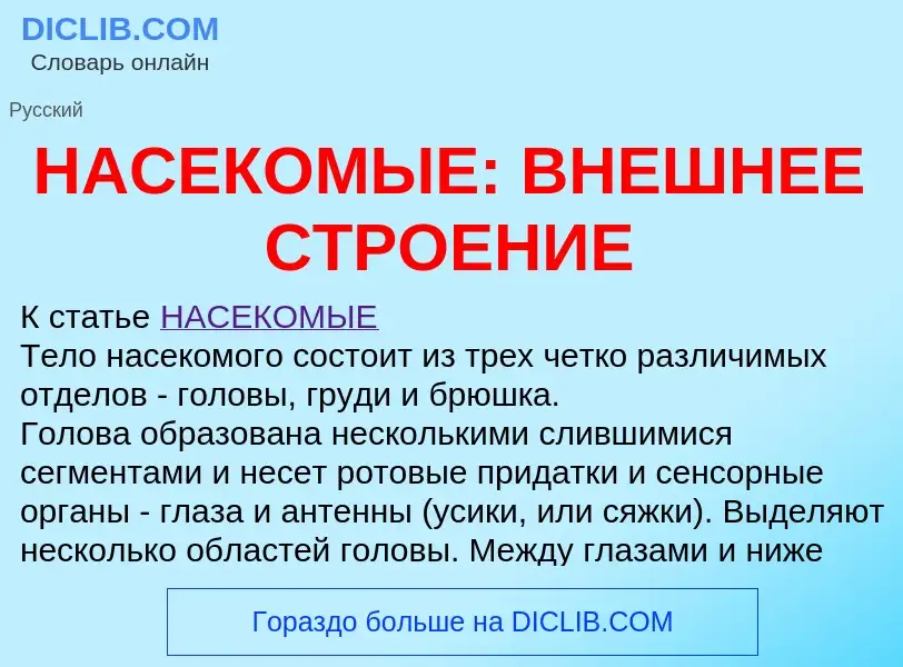 ¿Qué es НАСЕКОМЫЕ: ВНЕШНЕЕ СТРОЕНИЕ? - significado y definición