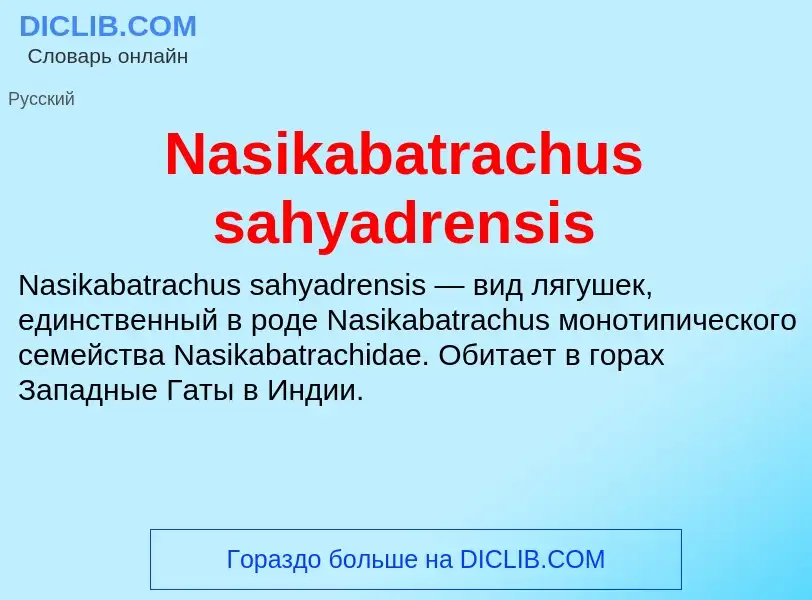 Что такое Nasikabatrachus sahyadrensis - определение