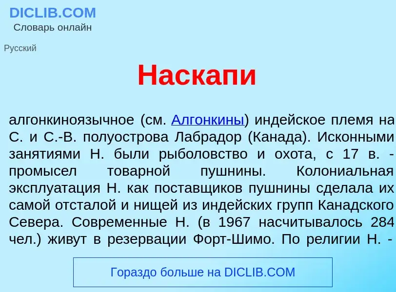 Что такое Наск<font color="red">а</font>пи - определение