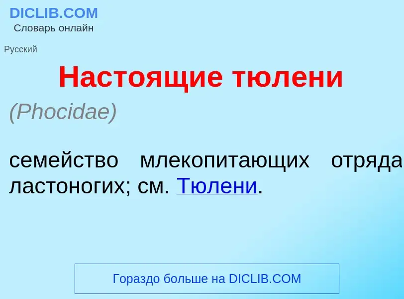 Wat is Насто<font color="red">я</font>щие тюл<font color="red">е</font>ни - definition