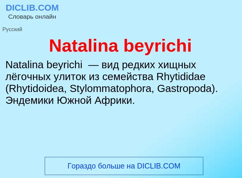 Что такое Natalina beyrichi - определение