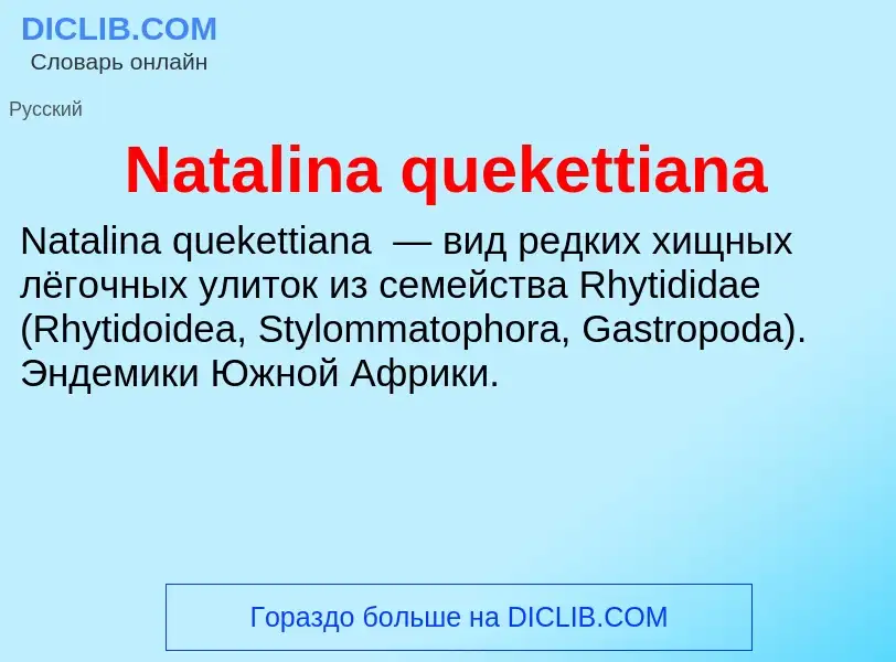 Что такое Natalina quekettiana - определение