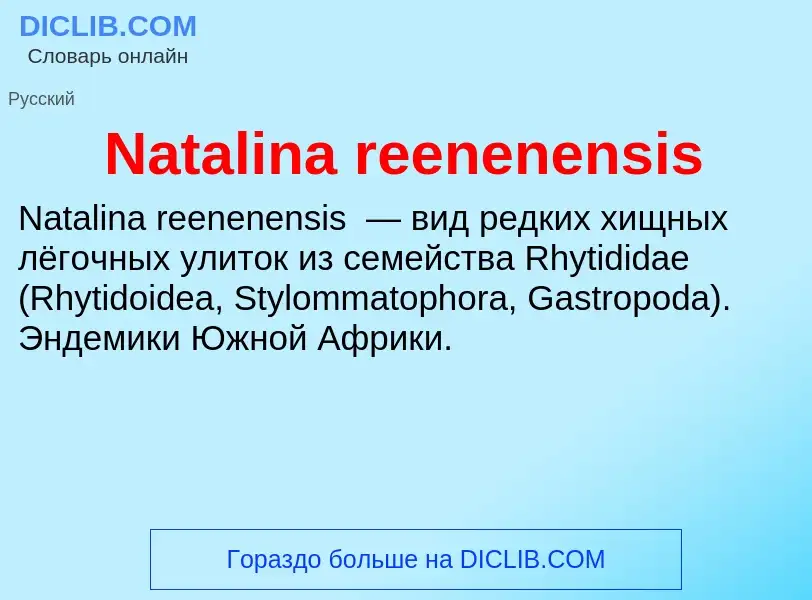 Что такое Natalina reenenensis - определение