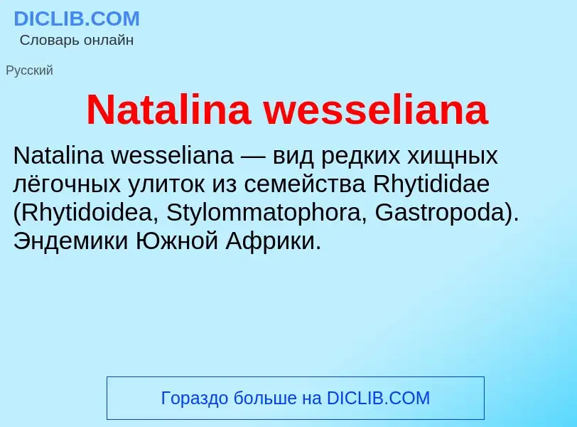 Что такое Natalina wesseliana - определение