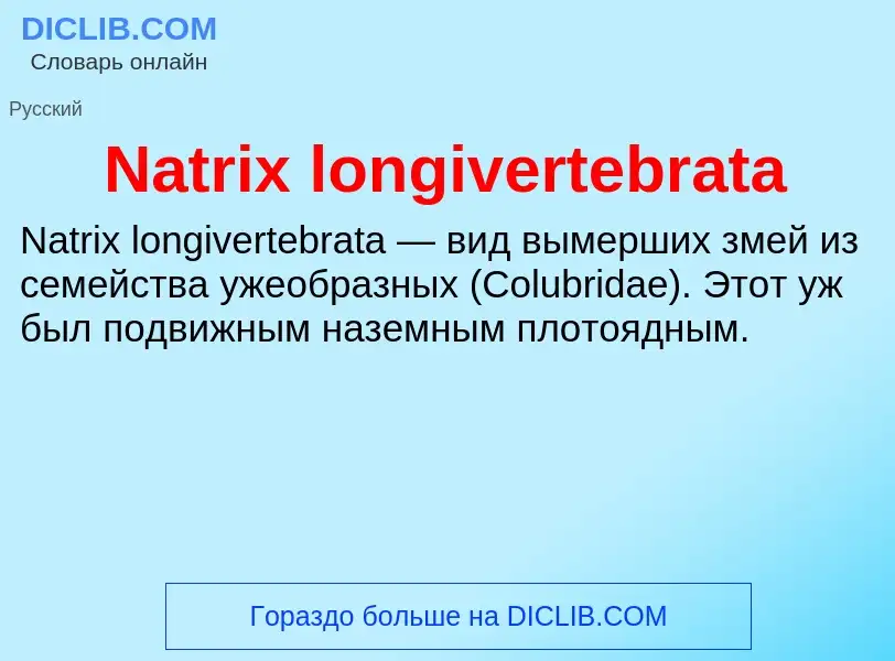 Что такое Natrix longivertebrata - определение