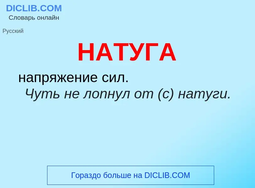 Что такое НАТУГА - определение