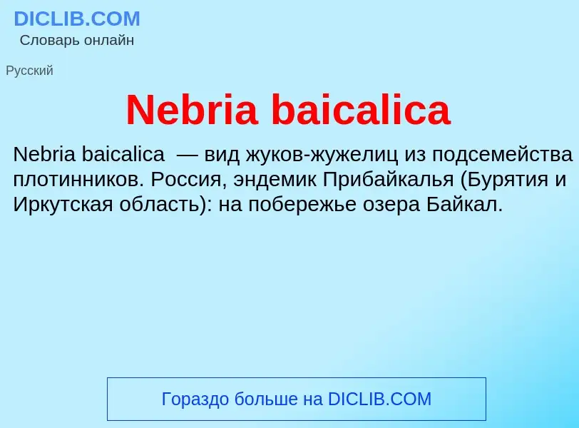 Что такое Nebria baicalica - определение