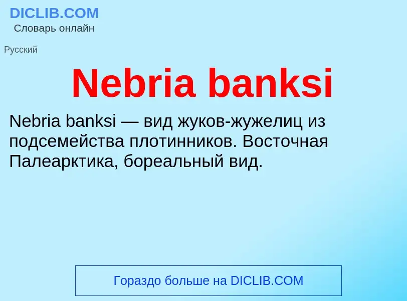 Что такое Nebria banksi - определение