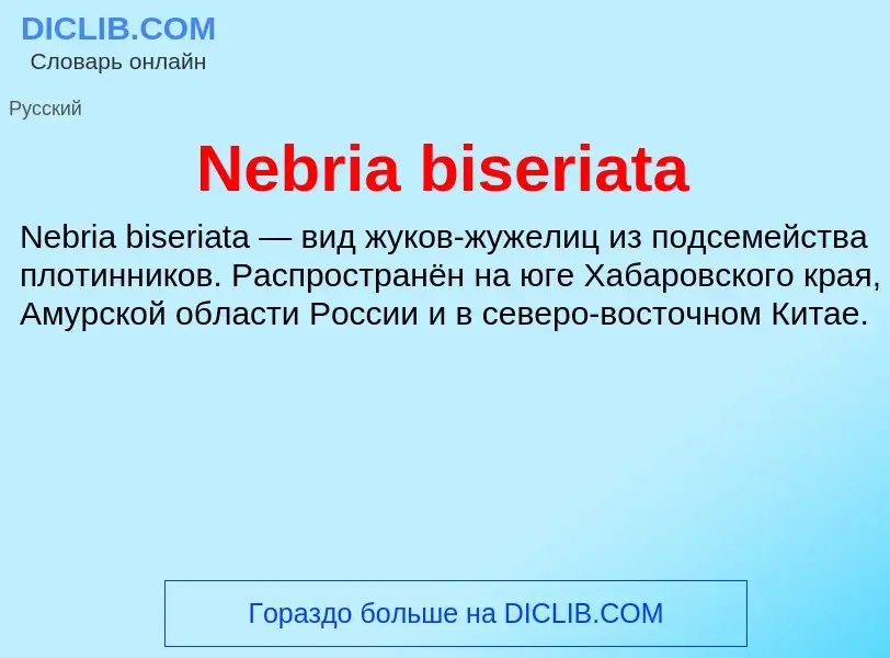 Что такое Nebria biseriata - определение