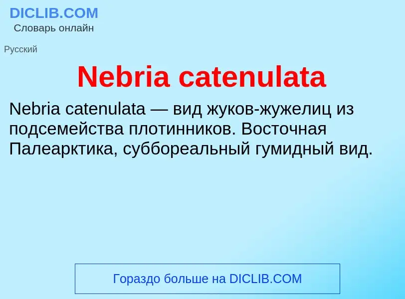 Что такое Nebria catenulata - определение