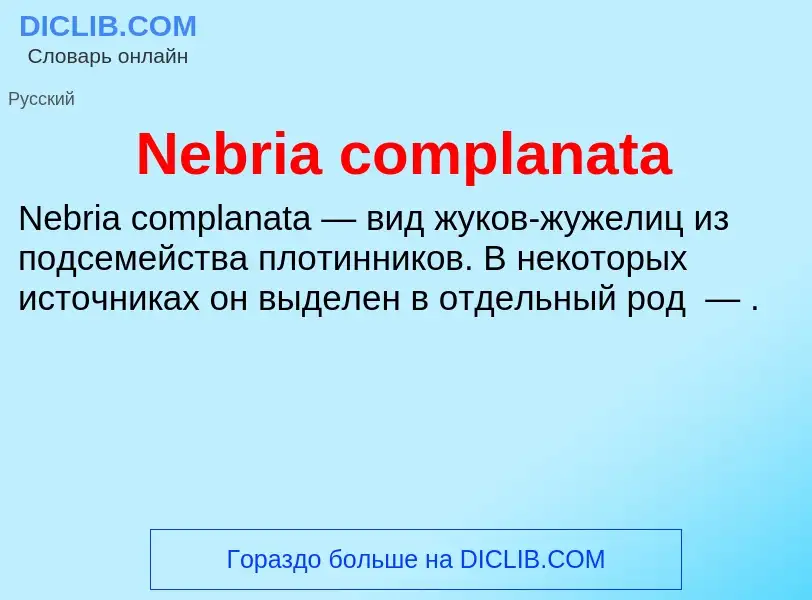 Что такое Nebria complanata - определение