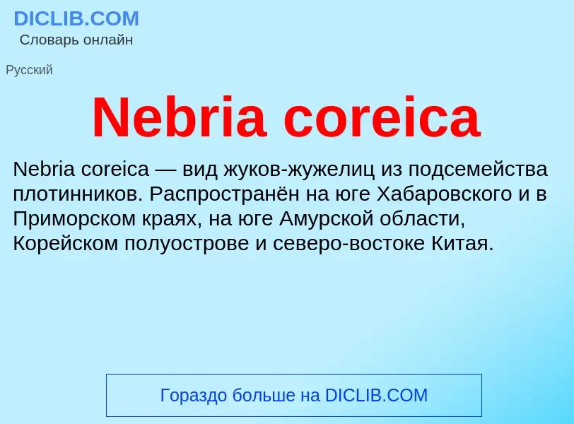 Что такое Nebria coreica - определение