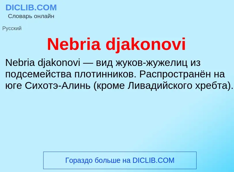 Что такое Nebria djakonovi - определение