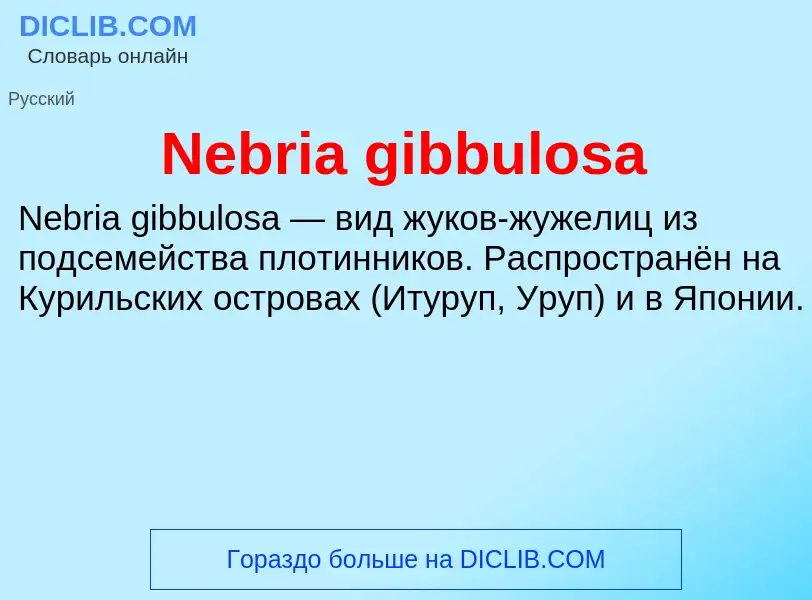 Что такое Nebria gibbulosa - определение