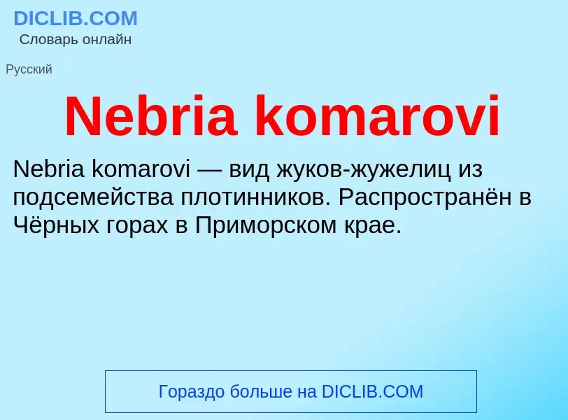 What is Nebria komarovi - meaning and definition