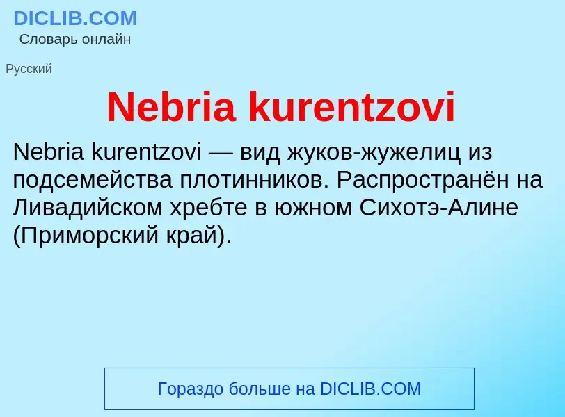 Что такое Nebria kurentzovi - определение