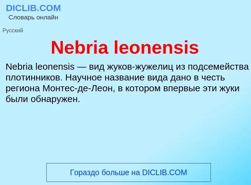 Что такое Nebria leonensis - определение